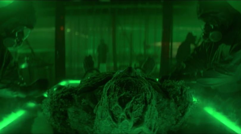 REVIEW: 'Swamp Thing' Episode 9 - The Anatomy Lesson 1 Swamp Thing Epsiode 9 - But Why Tho