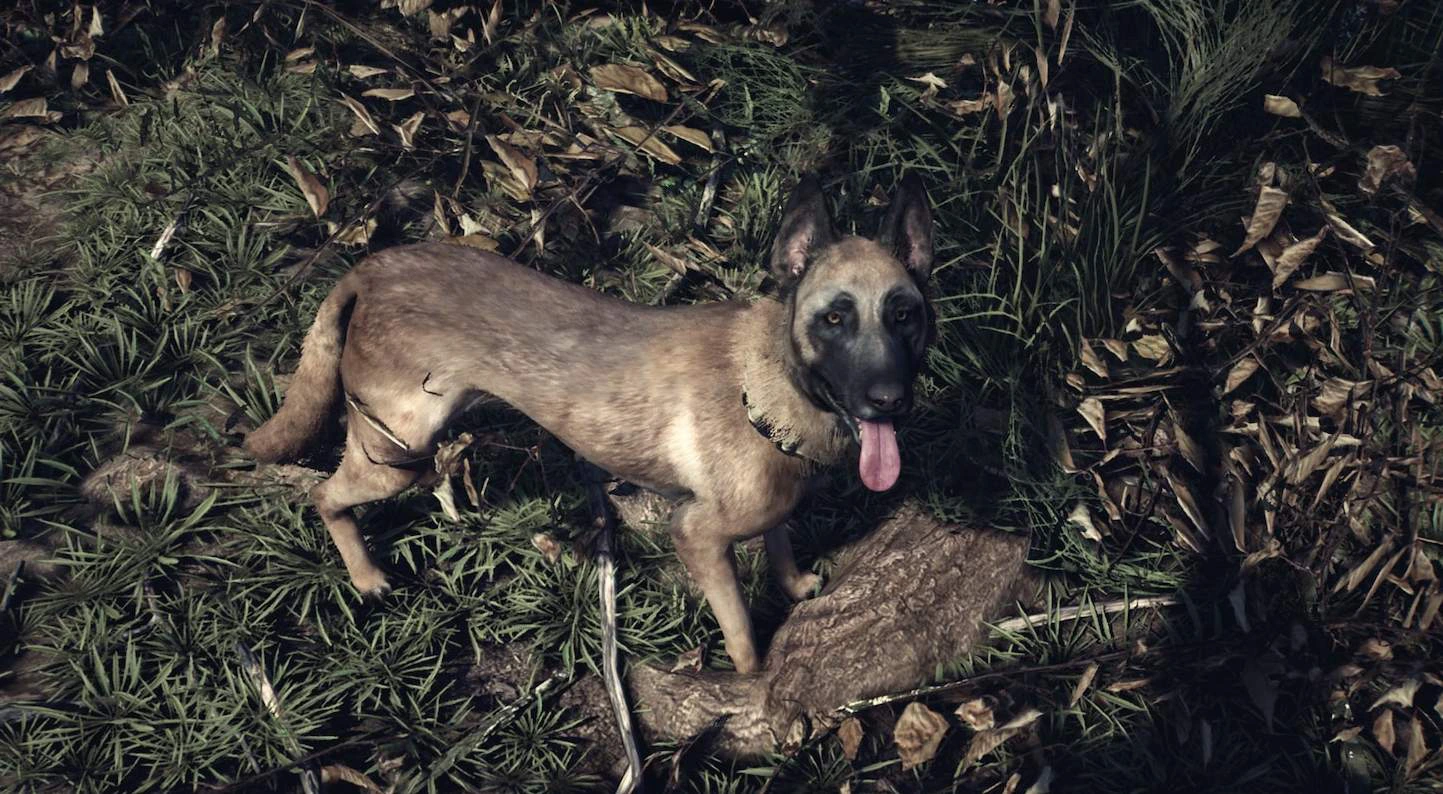 The Real Horror in 'Blair Witch' is Your Anxiety 4 1567215590 blair witch