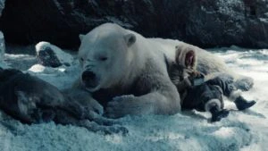 19283888 low res his dark materials