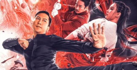 Ip Man Kung Fu Master