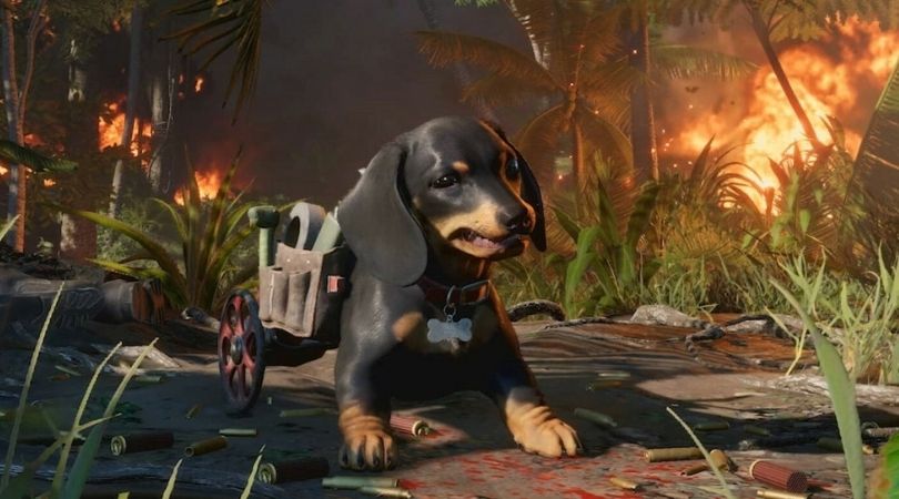 Far Cry 6 But Why Tho