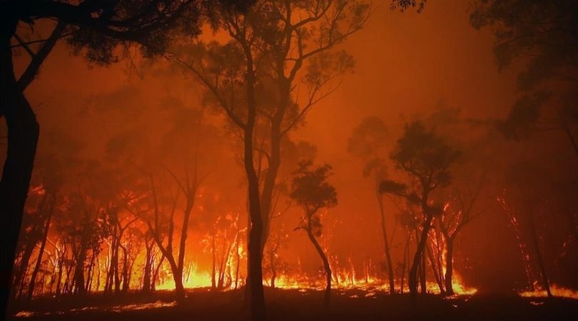 Burning - DOC NYC 2021 - But Why Tho