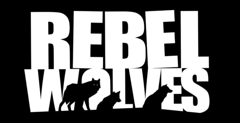Mateusz Tomaszkiewicz Joins Games Studio Rebel Wolves Mateusz Tomaszkiewicz Rebel Wolves