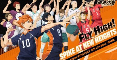 Haikyu Fly High artwork