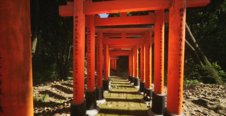 REVIEW: ‘Lushfoil Photography Sim’ Is A Masterclass In Visual Creative Play Lushfoil Photography Sim gameplay screenshot