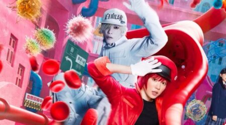 Red Blood Cell and White Cell in Cells at Work