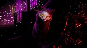 There Are No Ghosts At The Grand Marks Friday Sundae’s Debut There are No Ghosts at the Grand Bones