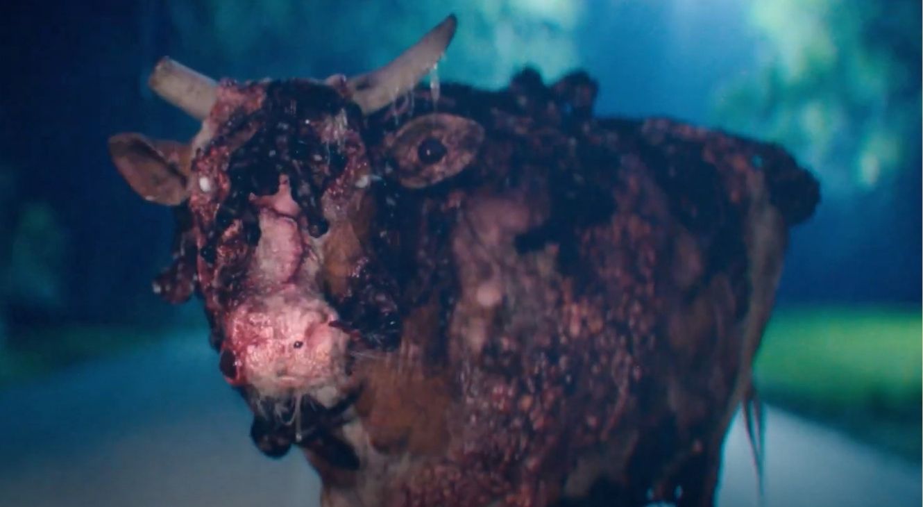 A concerning looking cow in Ick