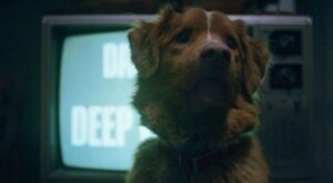 REVIEW: ‘Good Boy’ Showcases Innovation Through Simplicity Good Boy (2025) promotional still from IFC