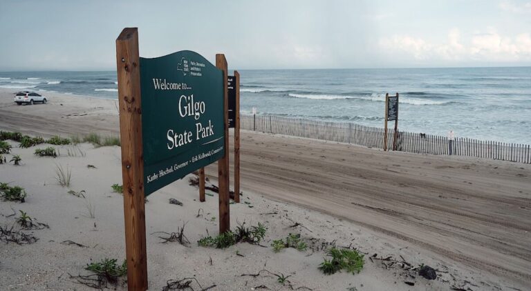 Prime Video Orders True Crime Docuseries Based on the Gilgo Beach Serial Killer Gilgo Beach sign from Getty Images