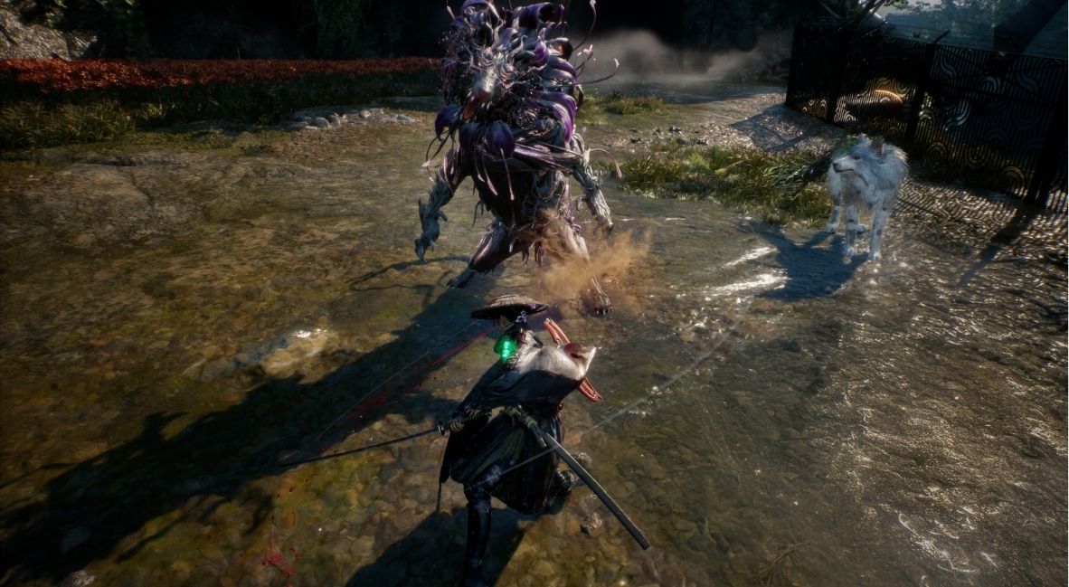 Beast of Reincarnation Combat