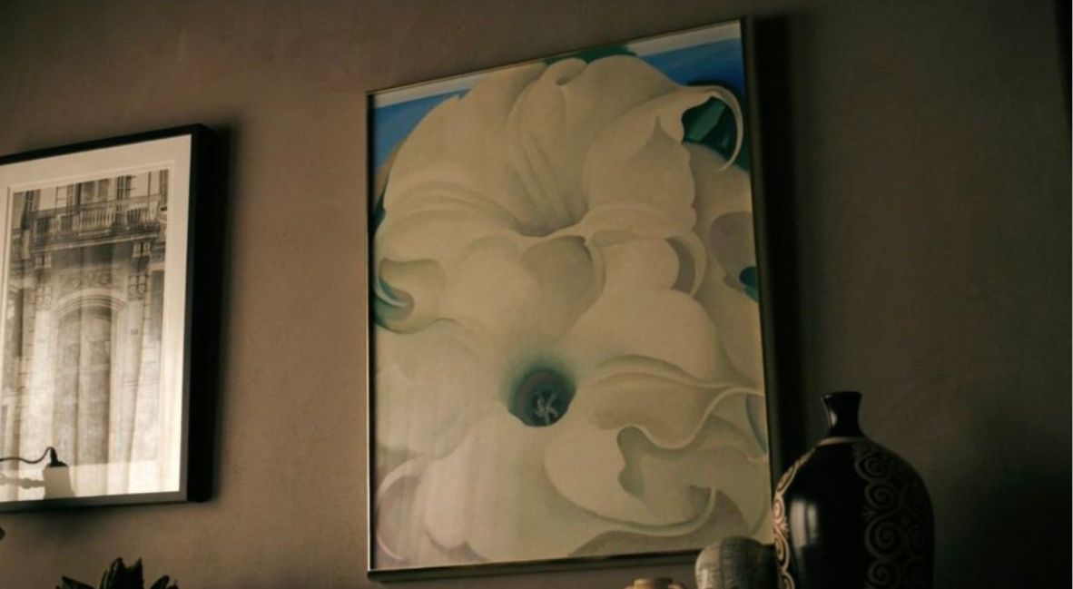 Bela Donna in Pluribus