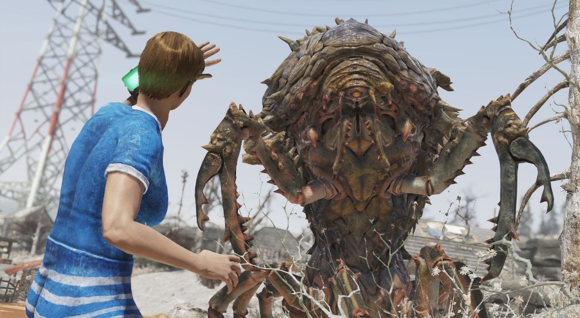 Fallout 76 Update 66 - The Backwoods